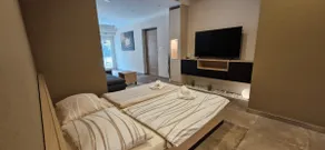 Guesthouse Pav - Studio with Bath tub - Image 2