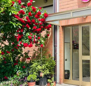 Casa Emilia - Image 2