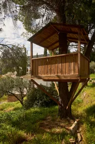 Cosy country house with treehouse in olive grove - Image 2