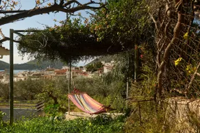 Cosy country house with treehouse in olive grove - Image 4