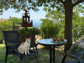 Domus Olea BnB - Image 3