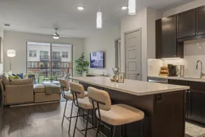 Walk to Toyota Stadium | Frisco 2BR/2BA |Gym/Pool - Image 2