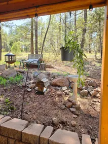 Forest Lodge - Hot Tub *Central Flagstaff* - Image 5