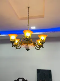 RedRose entire Palace luxury 3BHK flat Gomti Nagar - Image 4