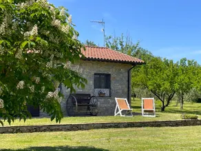 La Contea, il cottage tra gli ulivi - Image 5