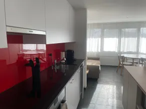 Studio apartment in beautiful Wynigen - Image 4