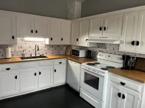 Silver swan in Riverwest! - Image 2