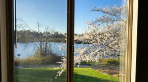 Modern 3BR Reston Apt - Pool, Gym, near Dulles - Image 5