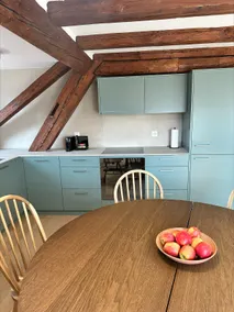 Cozy 2BR Apt | Old Town Richterswil & Lake View - Image 3