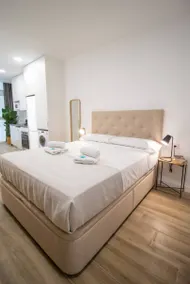 Beautiful loft next to the Turia River gardens - Image 2