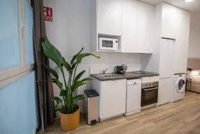 Beautiful loft next to the Turia River gardens - Image 3