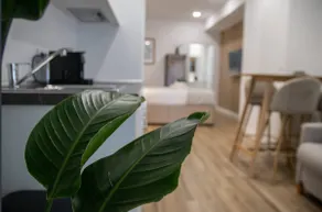 Beautiful loft next to the Turia River gardens - Image 5