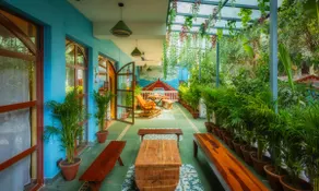 Casa Azulo: A Tropical Paradise - Image 5