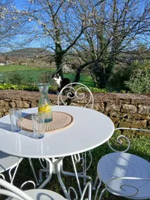 Charming cottage in the Dordogne for 2/4 people - Image 3
