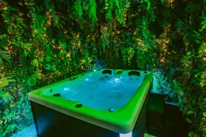 The Jungle Room - Rated 5 Stars - Mussidan - Image 2