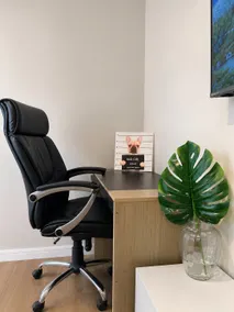 Special Apartment, Climate Controlled & Home Office - Image 3