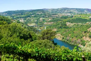 Cherry Douro Hill - Image 4