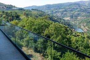 Cherry Douro Hill - Image 5