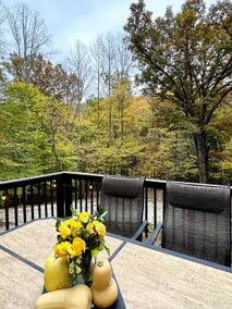 Hot Tub Woodland Retreat 11 Acres + Trails Near IU - Image 4
