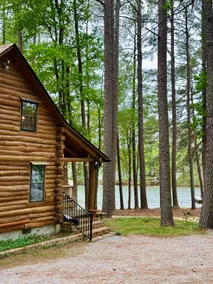 Pine Goose Waterfront Log Cabin | Lake Gaston, NC - Image 5