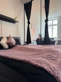 Modern Designer Apartment in Wels - Image 2