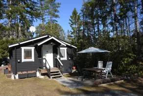 Cozy cottage in a forest setting, a 5-minute walk to the sea - Image 4