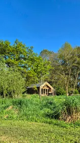 Nature house in a food forest | Tranquility in the Achterhoek - Image 4