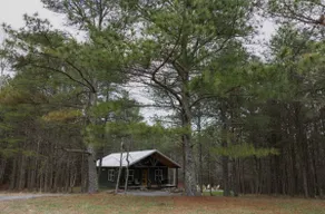 Bedrock cabin in the woods~Modern cabin in Mentone - Image 3