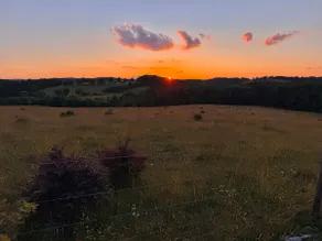 Enjoy the view & sunset @ Coraline’s Cabin - Image 5