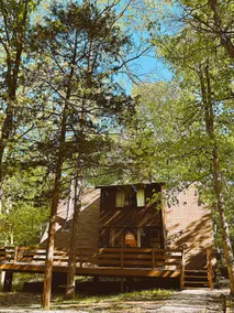 The Fox Den - Image 3
