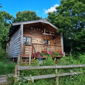 Lakeview Cabin - Image 2