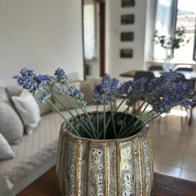 Casa Dolce Vita di Robé - fuga nella natura - Image 5