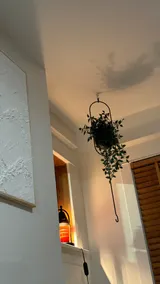 Cozy Bungalow with Tesla Charger & 3 Parking - Image 5