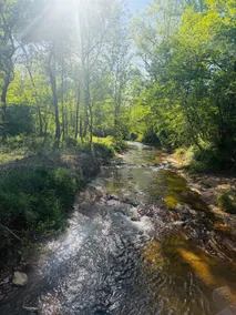 Catawba falls, biking, and brews! Old Fort Getaway - Image 3