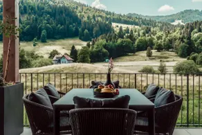 Forestum - Black Forest Luxury Apartments mit Sauna - Image 4