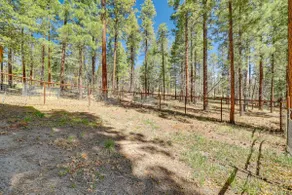 Escape to Alpine! Outstanding Cabin w/ Deck & Yard - Image 4
