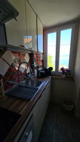 Lake-view apartment 2 minutes - Image 3