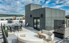 Peaceful ! Free Parking ! 30 min to MetLife ! - Image 4
