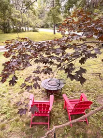The Lake House - Image 5