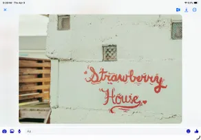 Strawberry House - Image 4