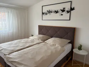 New vacation home near the center and Lake Neusiedl - Image 5