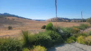 The Willow House! Paso Robles Wine destination. - Image 4
