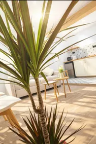 Apartamentos Coslera - Image 5