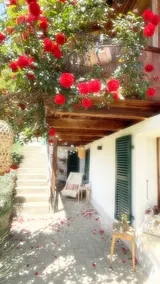 Mountain View Casa Latterbach · Peace, Nature & Relaxation - Image 3