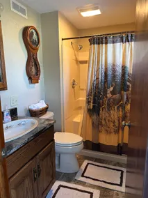 Country cottage minutes from IA/IL Quad Cities! - Image 4