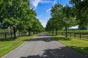 Private Suite on 35-Acres | Near Nashville - Image 3