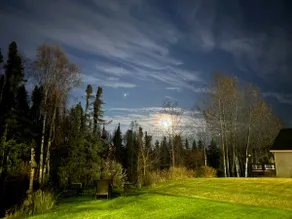 Peaceful Easy Feeling- Eagle's Nest - Image 5