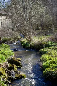 La Chambre du Moulin in the heart of the Périgord Vert - Image 5