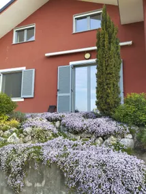 Dragonfly House – Accommodation in a semi-detached house - Image 2