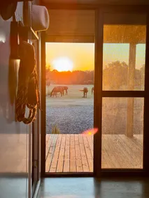 Eco Cabin on Rural Horse Property - Image 2